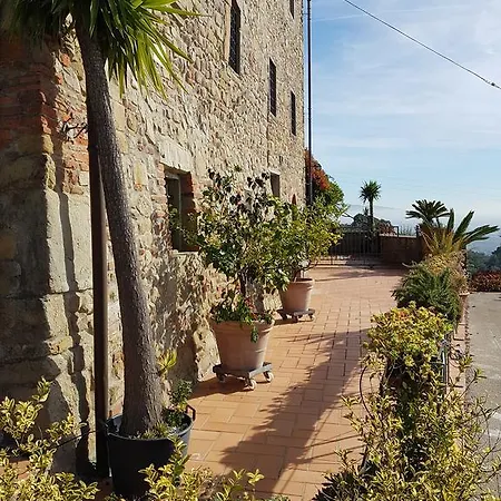 Adri Uzzano