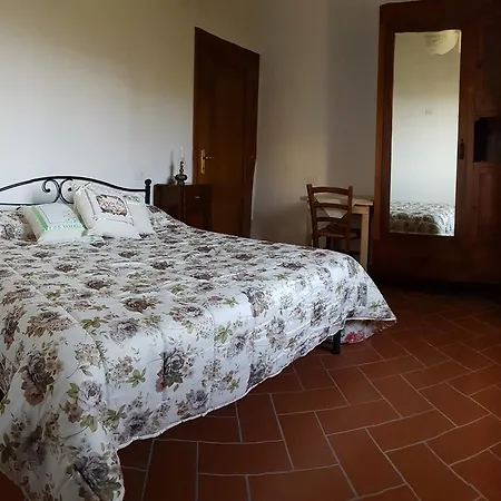 Adri 4*
